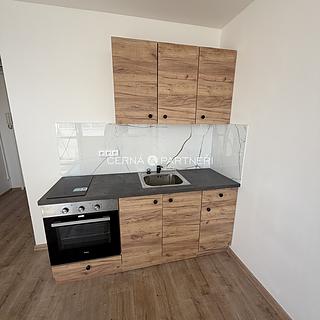 Prodej bytu 1+kk a garsoniéry 21 m² Most, U Věžových domů