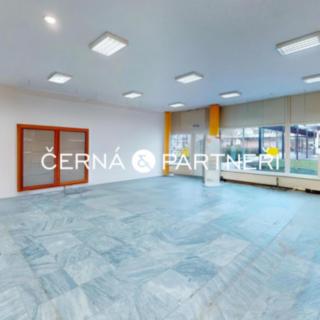 Pronájem obchodu 250 m² Teplice Řetenice, Duchcovská