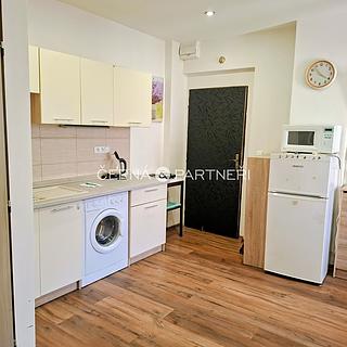 Pronájem bytu 1+kk a garsoniéry 22 m² Děčín II-Nové Město, Riegrova