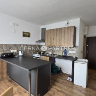 Prodej bytu 1+1 38 m² Oloví