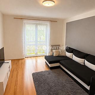 Pronájem bytu 2+1 48 m² Bílina Teplické Předměstí, Sídliště SHD