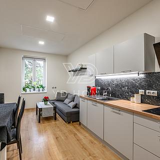 Prodej bytu 2+kk 45 m² Plzeň