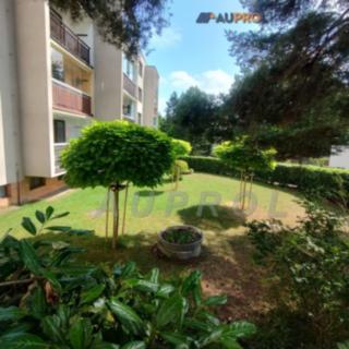 Prodej bytu 3+1 95 m² Kamenice, Ringhofferova