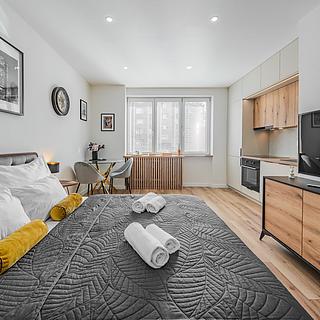 Pronájem bytu 1+kk, garsoniery 25 m&sup2; Ostrava