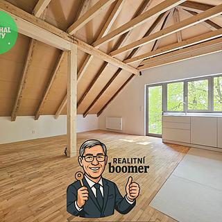 Prodej bytu 1+1 50 m² Praha Žižkov, Olgy Havlové