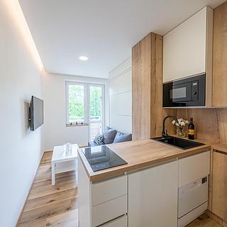 Pronájem bytu 1+kk a garsoniéry Opava Předměstí, Haškova