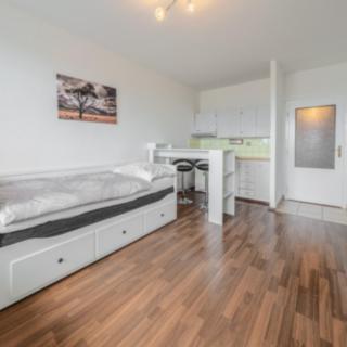 Pronájem bytu 1+kk a garsoniéry 31 m² Ostrava Moravská, 30. dubna