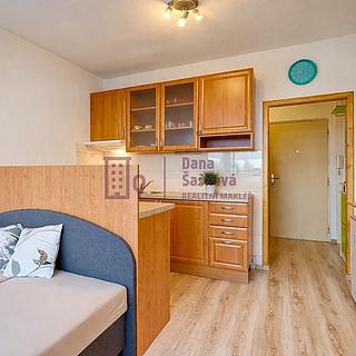 Pronájem bytu 1+kk a garsoniéry 25 m² Jindřichův Hradec II, sídliště U Nádraží