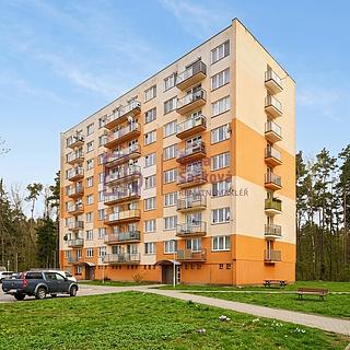 Pronájem bytu 2+1 59 m² Jindřichův Hradec Otín