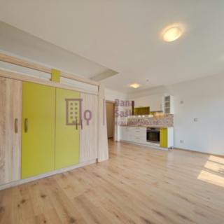 Pronájem bytu 1+kk a garsoniéry 34 m² Jindřichův Hradec I, Panská