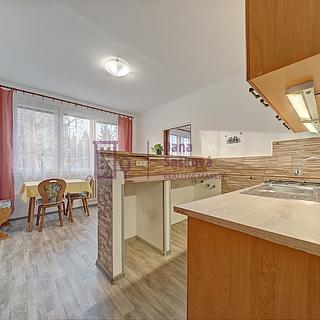 Pronájem bytu 1+1 39 m² Jindřichův Hradec III, sídliště Vajgar