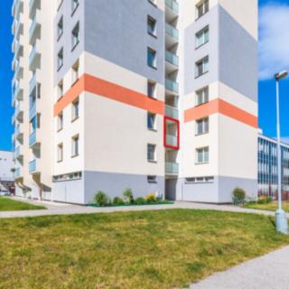 Pronájem bytu 1+kk a garsoniéry 27 m² České Budějovice 2, Dlouhá
