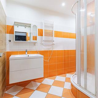 Pronájem bytu 2+1 50 m² České Budějovice 3, Nádražní