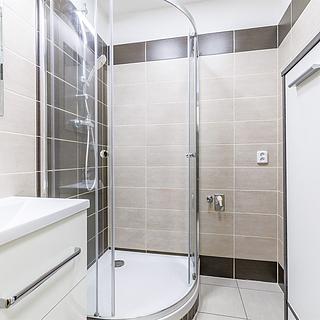 Pronájem bytu 2+1 47 m² České Budějovice 2, Netolická