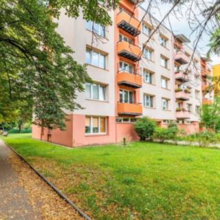 Prodej bytu 2+kk 39 m² České Budějovice 3, Puklicova
