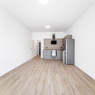 Pronájem bytu 1+kk a garsoniéry 43 m² České Budějovice 2