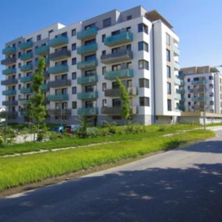 Pronájem parkovacího místa 12 m² České Budějovice 2, Na Zlaté stoce
