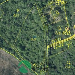 Prodej zemědělské půdy 4 280 m² Třebenice
