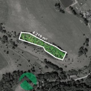 Prodej lesa 4219 m² Čermná
