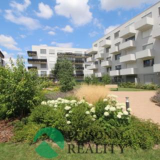 Pronájem bytu 2+kk 51 m² Kladno