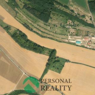 Prodej ostatního pozemku 13 505 m² Bechlín