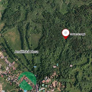 Prodej louky 9593 m&sup2; Andělská Hora