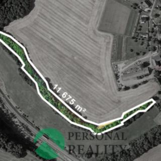 Prodej lesa 11 675 m² Hodkovice nad Mohelkou Žďárek