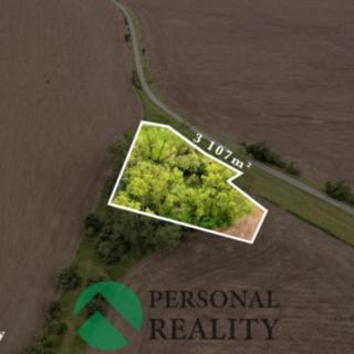 Prodej zemědělské půdy 8 425 m² Obruby