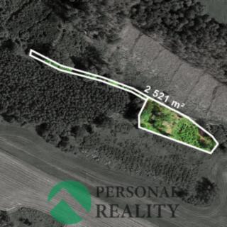 Prodej lesa 3 734 m² Nosálov