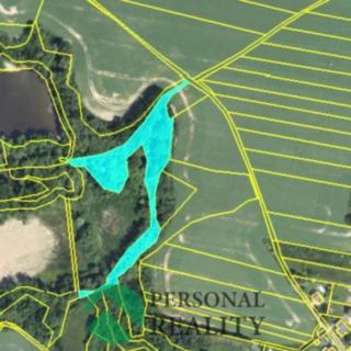 Prodej lesa 6771 m² Krchleby