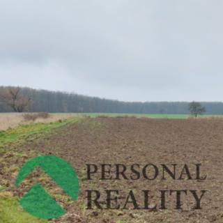 Pronájem zemědělské půdy 3093 m² Lodín