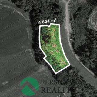 Prodej lesa 4804 m² Mšeno
