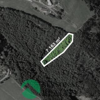 Prodej lesa 3 581 m² Malá Skála Sněhov