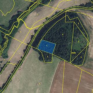 Prodej lesa 2 762 m² Písařov Bukovice