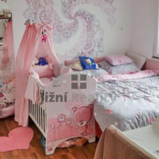 Prodej bytu 2+1 55 m² Nové Hrady, Sídliště míru