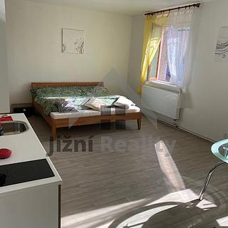 Prodej činžovního domu 900 m² Stráž nad Nežárkou, Chlumecká