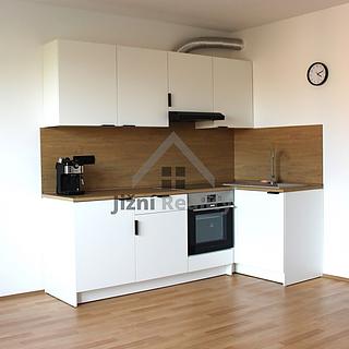 Pronájem bytu 1+kk a garsoniéry 40 m² České Budějovice 2, Spojovací