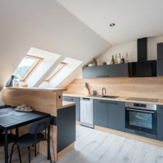 Prodej bytu 2+kk 65 m² Libušín