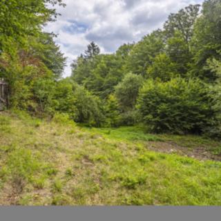 Prodej stavební parcely 3117 m² Jílové u Prahy