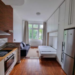 Pronájem bytu 1+kk a garsoniéry 26 m² Praha Střešovice, Parléřova