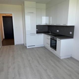 Pronájem bytu 1+kk, garsoniery 31 m² Praha