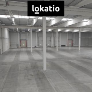 Pronájem skladu 4 262 m² Přestanov