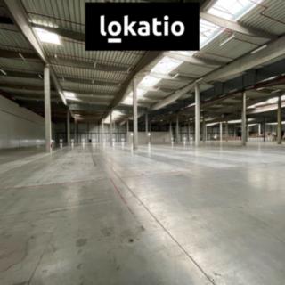Pronájem skladu 18 297 m² Pohořelice