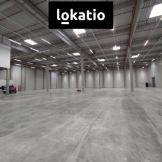 Pronájem skladu 3 858 m² Kozomín