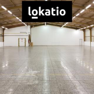 Pronájem skladu 1237 m² Drnovice
