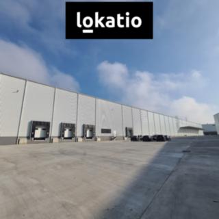 Pronájem skladu 9734 m² Bílina