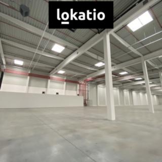Pronájem skladu 10 275 m² Ostrava Vítkovice