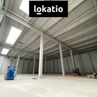 Pronájem skladu 1 000 m² Mohelnice