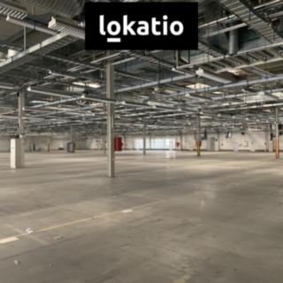 Pronájem skladu 10 000 m² Plzeň Skvrňany