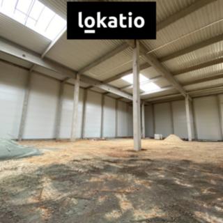 Pronájem skladu 3078 m² Holubice